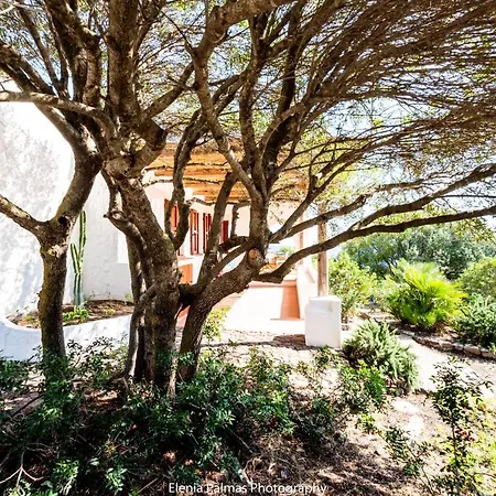 Su Mari Su Entu Isola Di Con Accesso Diretto Al Mare Villa *